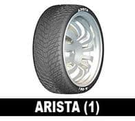 295/25VR28 ARISTA A-06i 103V XL 1