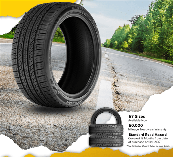 P205/55R16 LIONHART RAMANI A/S 91V BLK 500A-A 50K + ROAD HAZARD 1